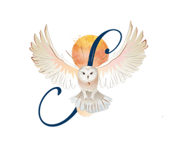 Logo Strigidae, Lea accompagnante en bien-être dans la Loire. Bien-être à Montbrison